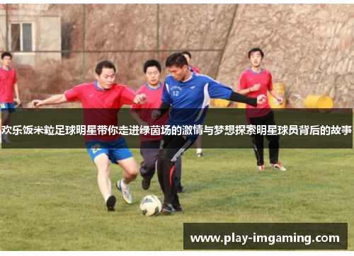 欢乐饭米粒足球明星带你走进绿茵场的激情与梦想探索明星球员背后的故事 欢乐饭米粒足球明星带你走进绿茵场的激情与梦想探索明星球员背后的故事