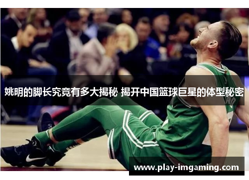 姚明的脚长究竟有多大揭秘 揭开中国篮球巨星的体型秘密 姚明的脚长究竟有多大揭秘 揭开中国篮球巨星的体型秘密