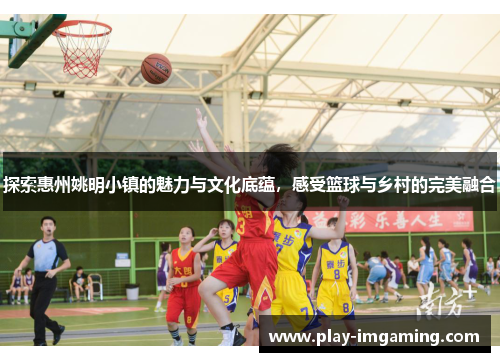 探索惠州姚明小镇的魅力与文化底蕴，感受篮球与乡村的完美融合