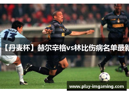 【丹麦杯】赫尔辛格vs林比伤病名单最新